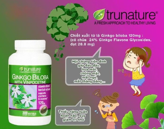 [Đánh giá] Ginkgo biloba 120mg - Giải pháp hiệu quả cho việc cải thiện trí nhớ