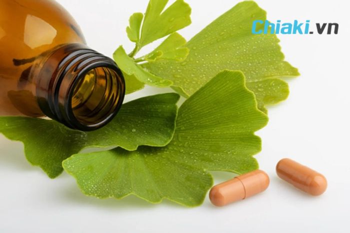 Ginkgo Biloba - Thành phần thường gặp trong các sản phẩm thuốc bổ não của Úc