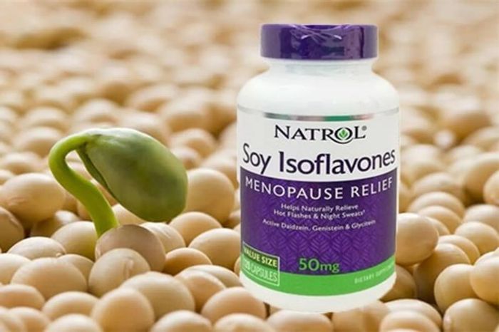 Viên uống mầm đậu nành Natrol Soy Isoflavones