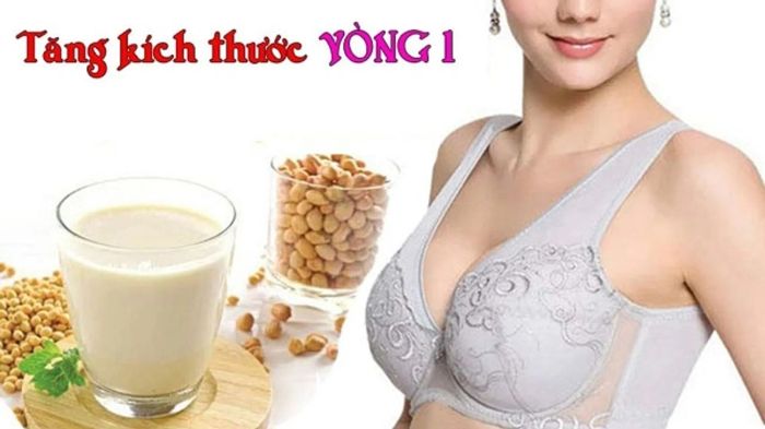 Cách tăng kích thước vòng 1 tự nhiên với mầm đậu nành