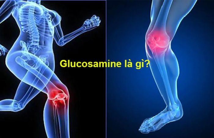 <span style='color: #000000;'><em>Glucosamine là một lựa chọn tốt cho sức khỏe của xương khớp</em></span>