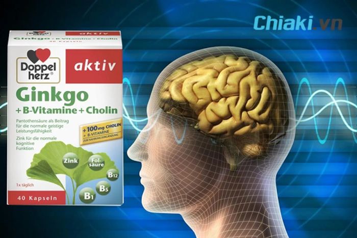 Viên Ginkgo Biloba Vitamin B + Cholin Doppelherz Aktiv