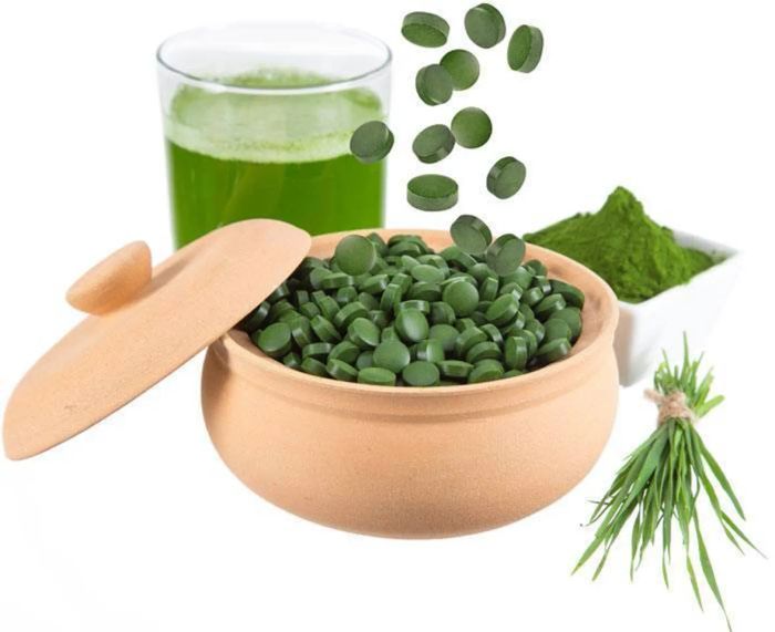 Tảo lục Chlorella Nhật Bản