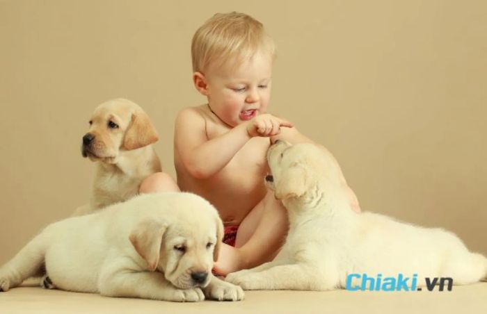 Tên biệt danh cho con trai theo loài vật