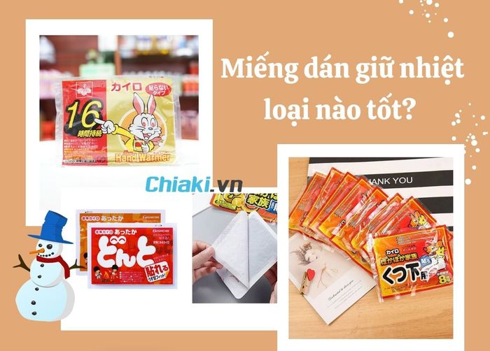 Cách cắm hoa ngày Tết - hoa cẩm chướng (Ảnh: Canva)