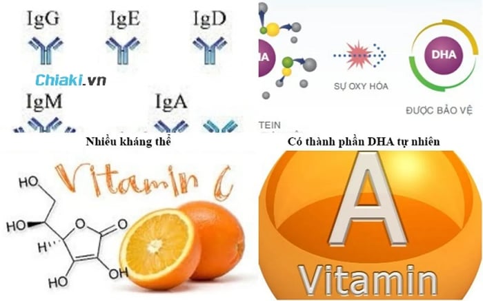 Thành phần dinh dưỡng trong sữa mẹ