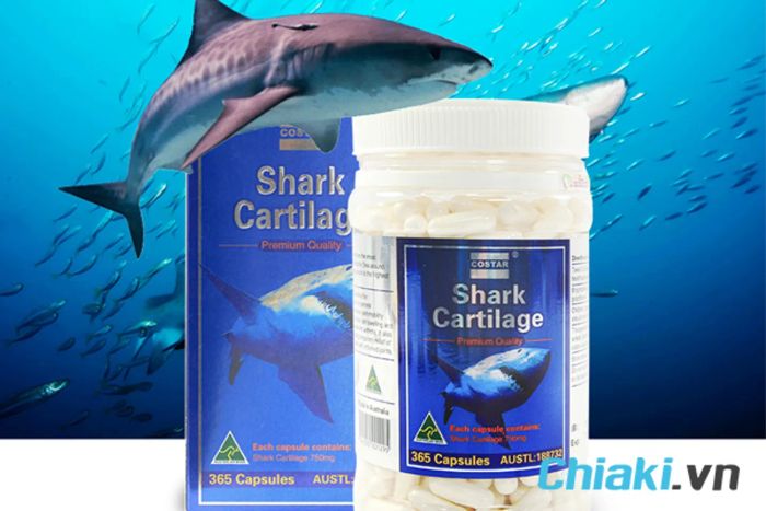 Viên uống Costar Blue Shark Cartilage của Úc