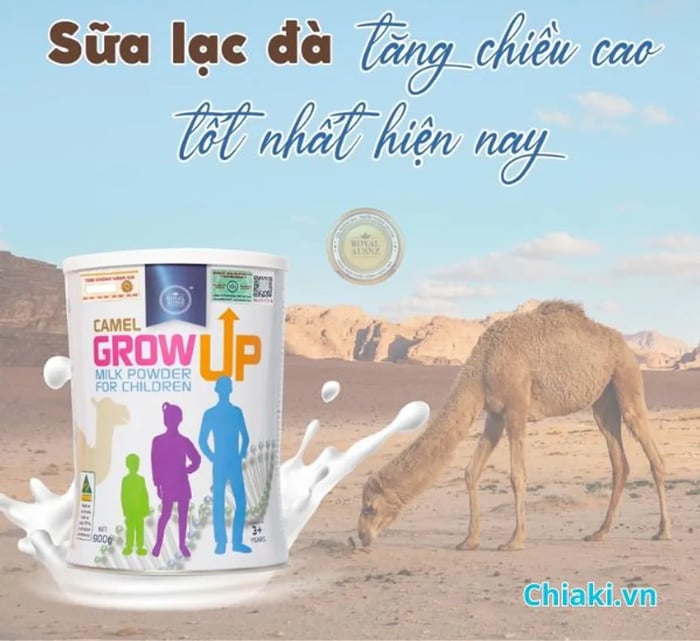 Sữa bột tăng chiều cao Royal Ausnz Camel Grow Up Milk Powder