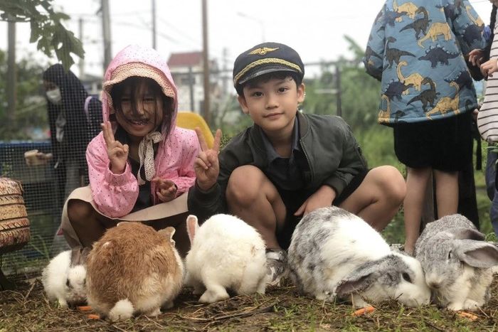 Baby Farm Đà Nẵng