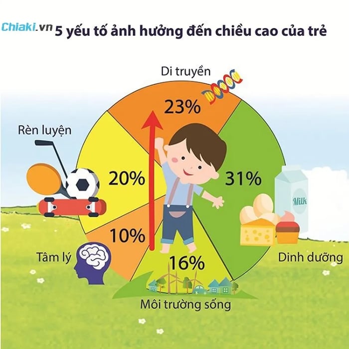 Yếu tố ảnh hưởng đến sự phát triển chiều cao của trẻ