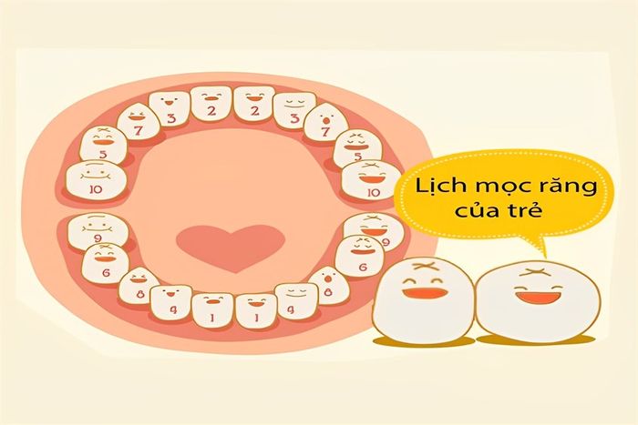 Phải làm gì khi trẻ lớn chậm mọc răng?