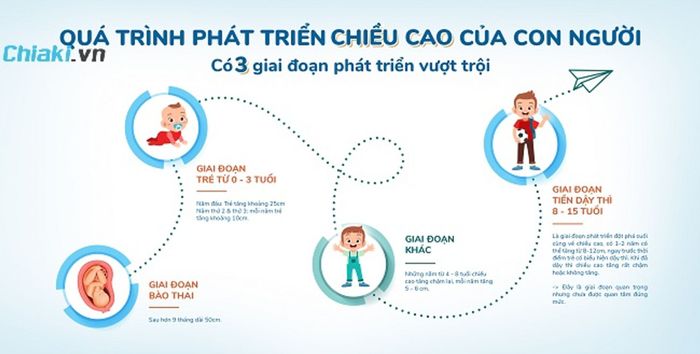 Các giai đoạn tốt nhất cho sự phát triển chiều cao ở trẻ