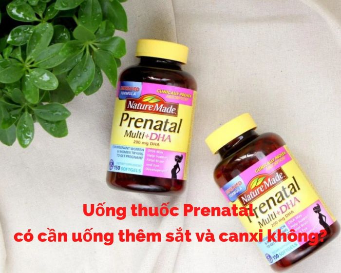 Có nên bổ sung thêm sắt và canxi khi sử dụng thuốc Prenatal không?