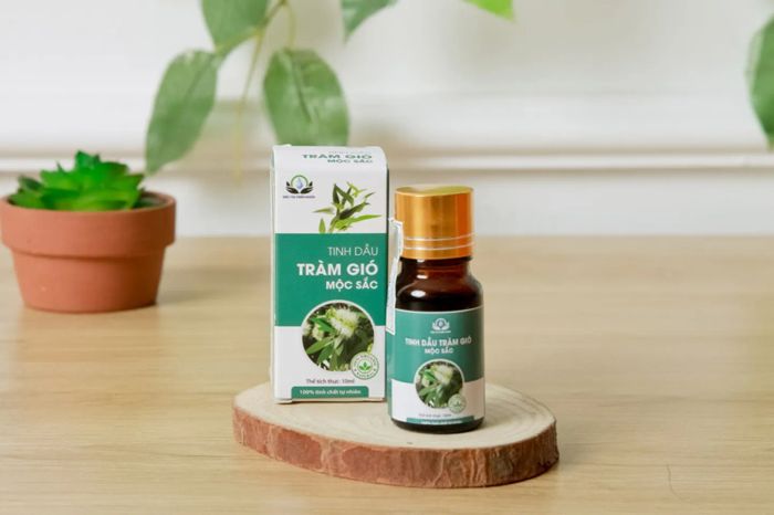 Tinh dầu tràm gió Mộc Sắc 