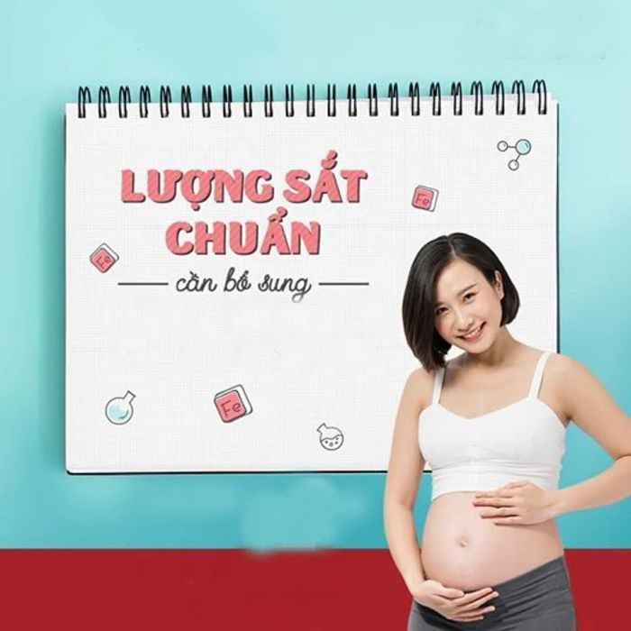 Cách bổ sung sắt, canxi và DHA cho bà bầu hiệu quả theo từng giai đoạn