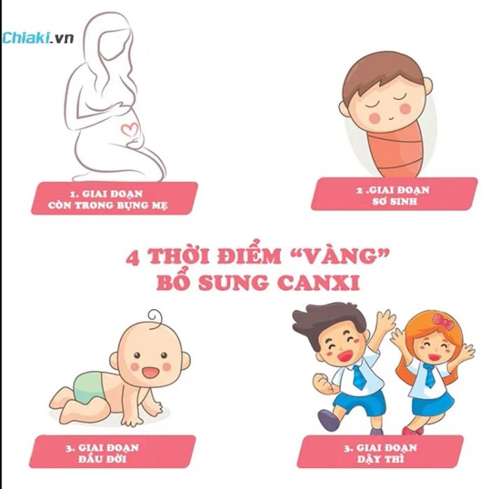 Giai đoạn vàng bổ sung canxi hữu cơ cho trẻ