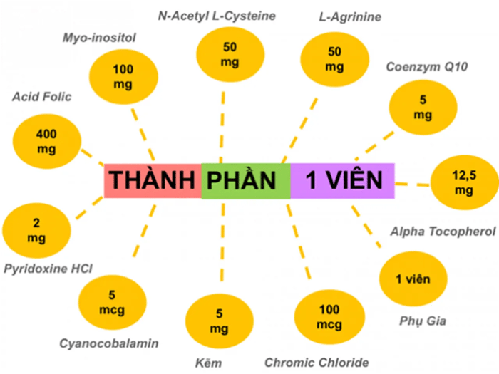 OvaQ1 cung cấp nhiều chất dinh dưỡng quan trọng cho quá trình thụ thai