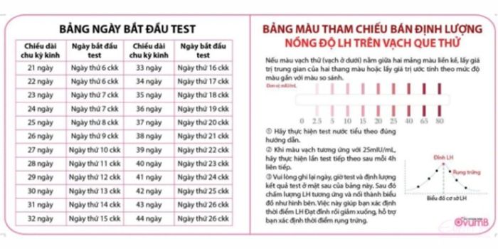 Bảng tính ngày rụng trứng để sinh con trai chính xác