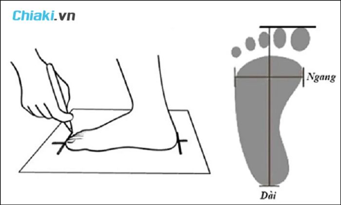 cách lựa chọn size giày Hàn Quốc