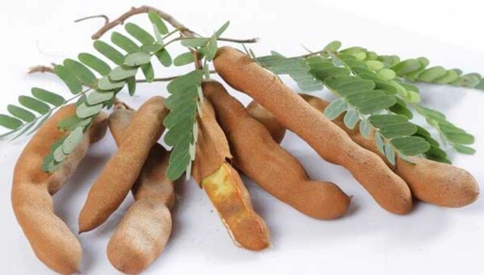 Bí quyết dân gian chữa ốm nghén với quả me