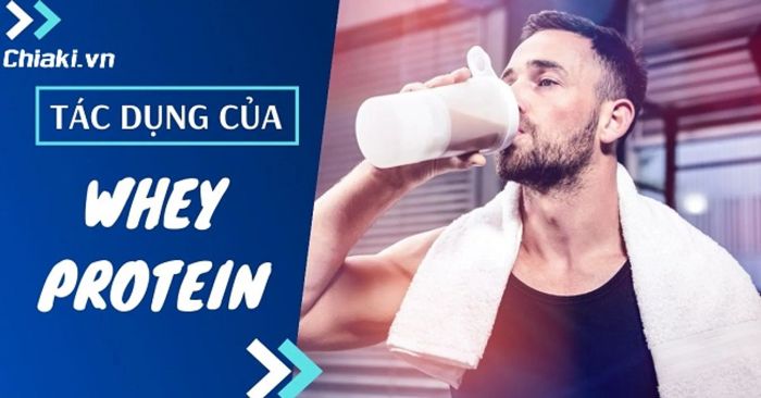 Tính chất của whey protein