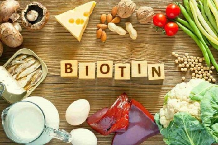 Biotin có tác dụng gì