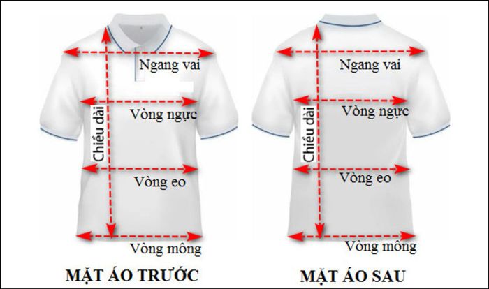 Cách đo số đo cơ thể để chọn kích cỡ áo