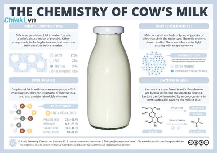 Thành phần chính của sữa