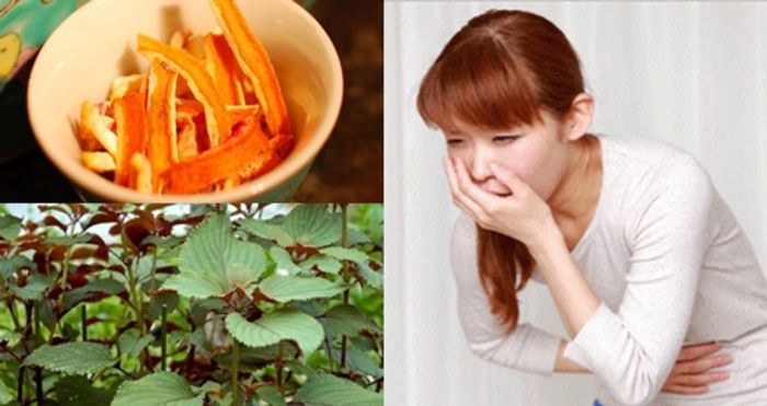 phương pháp dân gian chữa ốm nghén một cách hiệu quả