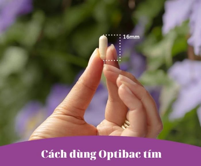 Hướng dẫn sử dụng Optibac tím