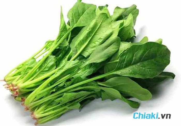 Cải bó xôi chứa lượng vitamin A đáng kể