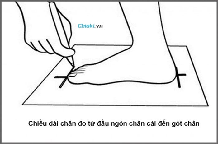 Chân 23cm cần chọn size giày nào, giày size bao nhiêu cho chân 23cm, giày size nào phù hợp với chân 23cm?