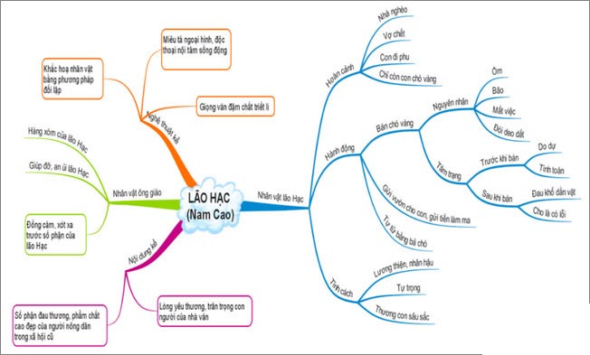 Sơ đồ tư duy về truyện Lão Hạc