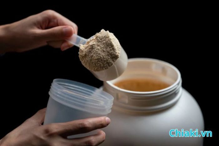 Có tất cả bao nhiêu loại Whey Protein?