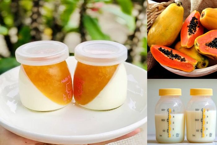 Công Thức Làm Pudding Đu Đủ Cho Bé