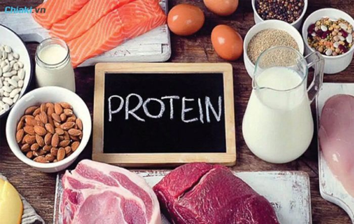 thực phẩm giàu protein mang lại nhiều lợi ích tuyệt vời 