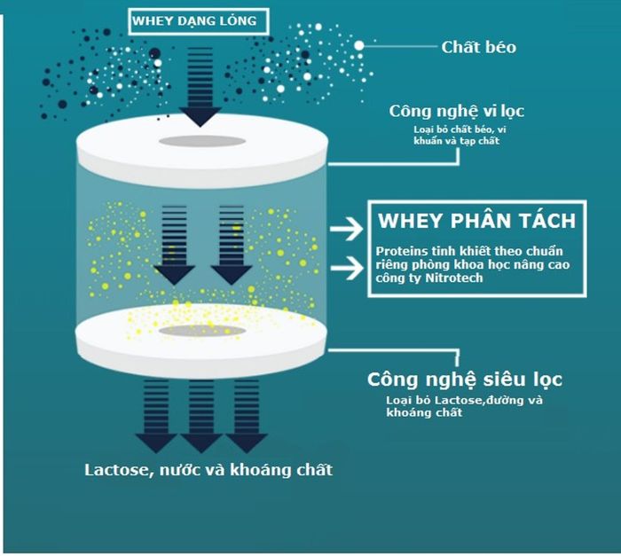 Lí do nào khiến người muốn tăng cơ chọn Nitro Tech Whey Gold?