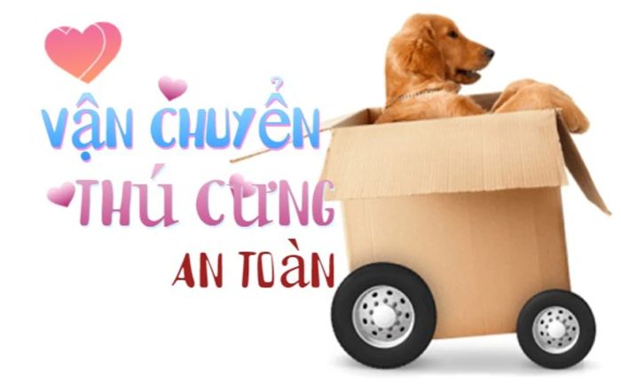 Bí quyết vận chuyển thú cưng bằng ô tô một cách an toàn