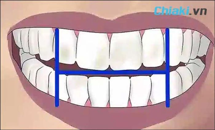 Cách sử dụng bàn chải điện