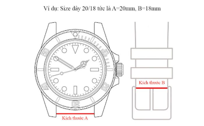 đo kích thước đồng hồ dựa vào độ rộng của dây đeo