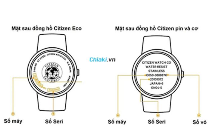 Kiểm Tra Số Seri Đồng Hồ của Citizen Chính Hãng