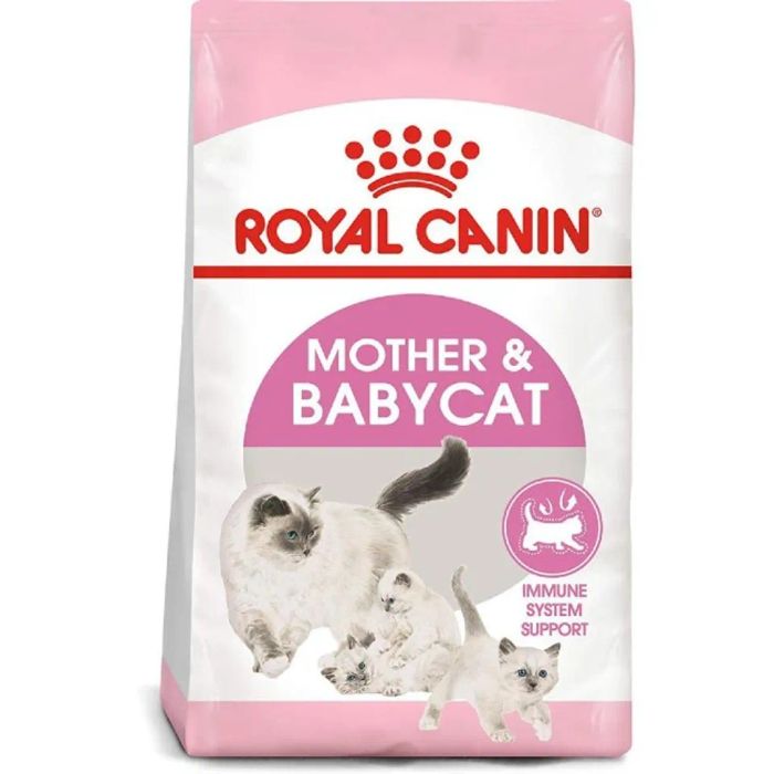 thức ăn cho mèo mang thai, mới đẻ Royal Canin Mother & Babycat