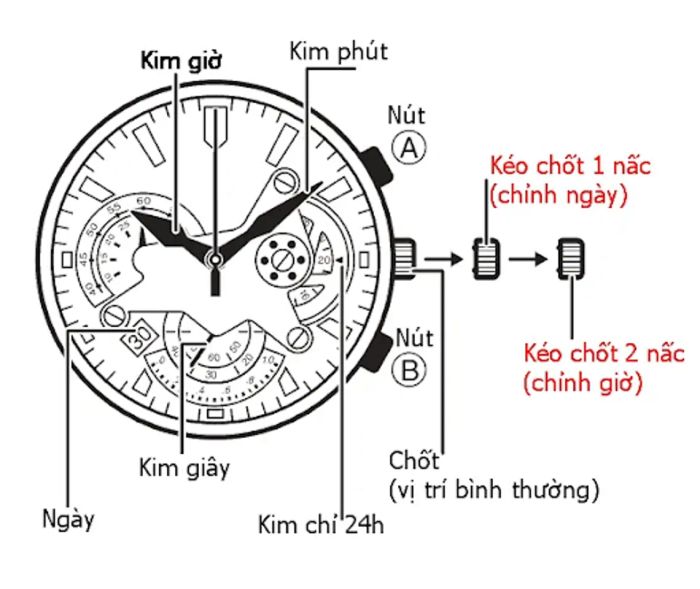 Hướng dẫn sử dụng đồng hồ Citizen Eco-Drive Radio Controlled