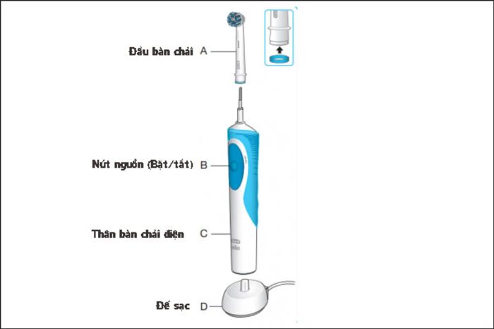 cách sử dụng bàn chải điện Oral B