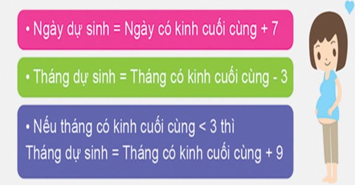 Phương pháp tính toán ngày dự sinh theo Naegele. Nguồn hình satbabau