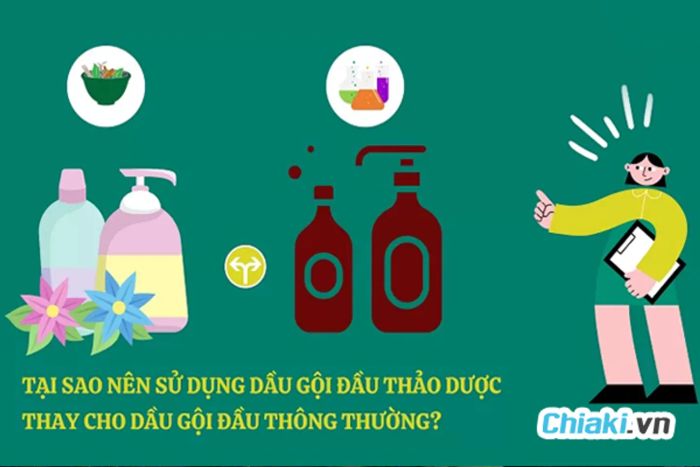 Top 7 Loại Dầu Gội Thảo Dược Tốt Nhất Hiện Nay