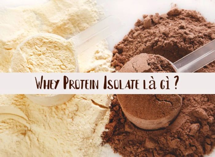 Whey Protein Isolate quan trọng với người tập gym muốn tăng cơ giảm mỡ như thế nào?