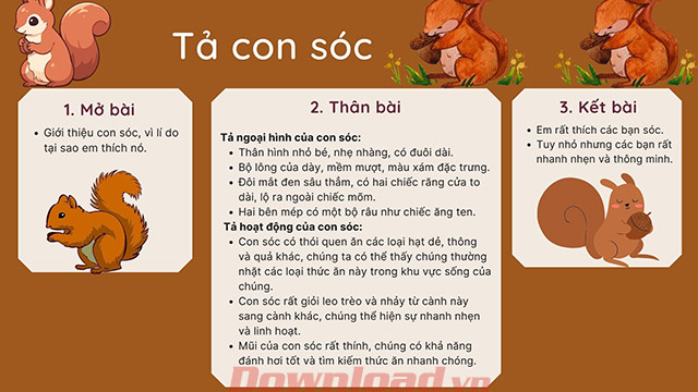 Sơ đồ tư duy Miêu tả con sóc