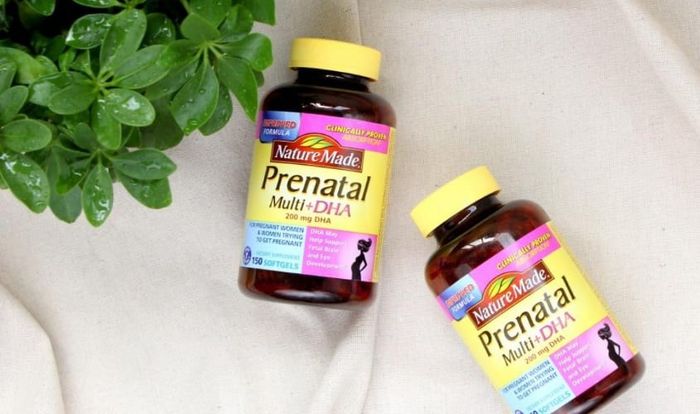 Nature Made Prenatal Multi DHA