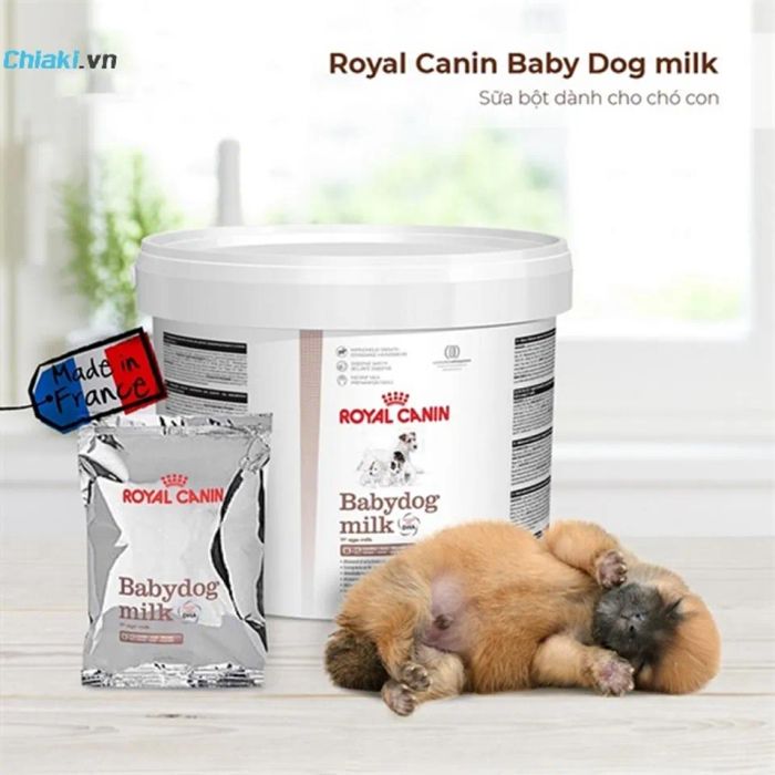 Sữa bột cho chó con mới sinh Royal Canin Baby Dog Milk